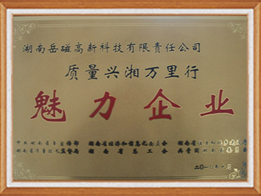 魅力企業(yè)